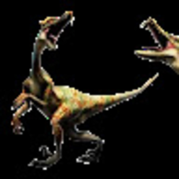 Meet your Posher, Julia - Picture 1 of 1